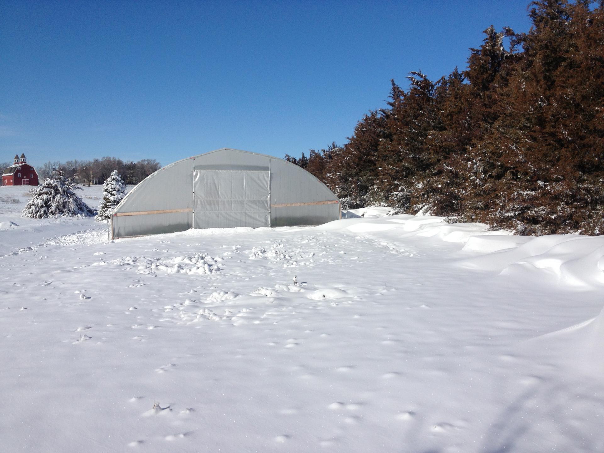 hoophouse in the snow