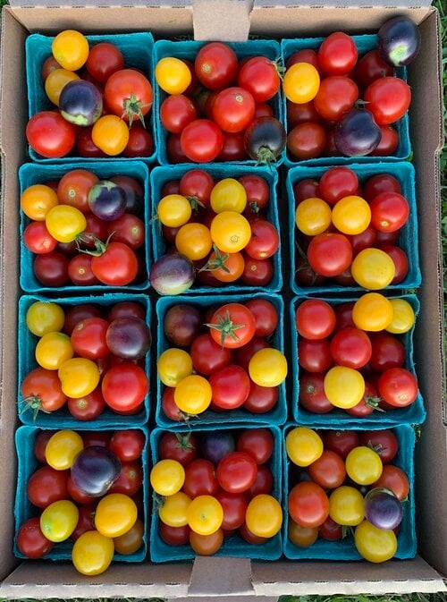 image of box of tomatoes