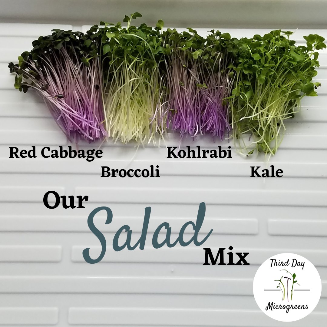 microgreens salad mix