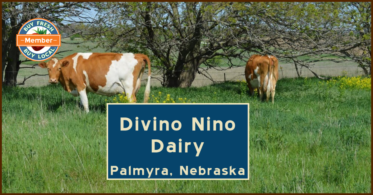 Divino Nino Dairy