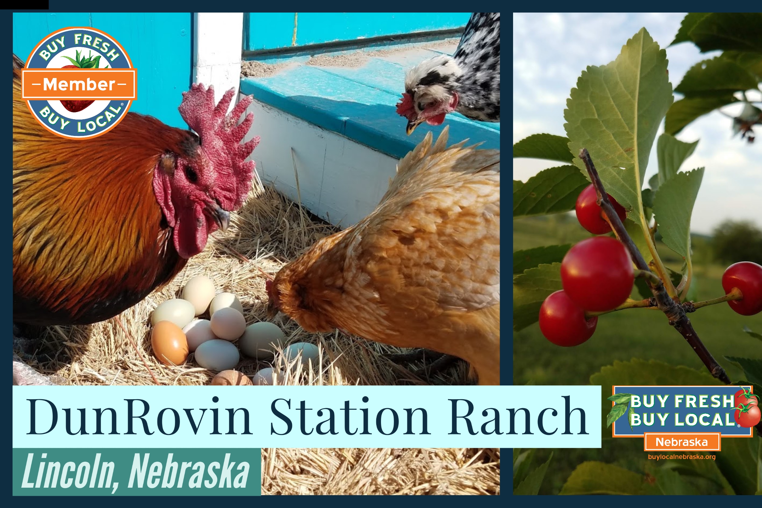 DunRovin Station Ranch Promotional Image
