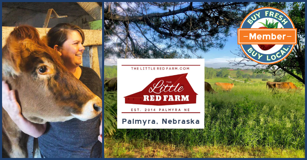 The Little Red Farm 