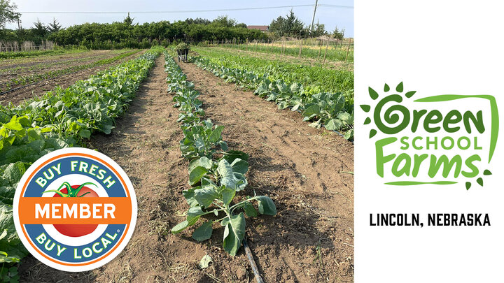 Green School Farms member spotlight photo showing plants growing in a field