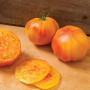 margold tomatoes